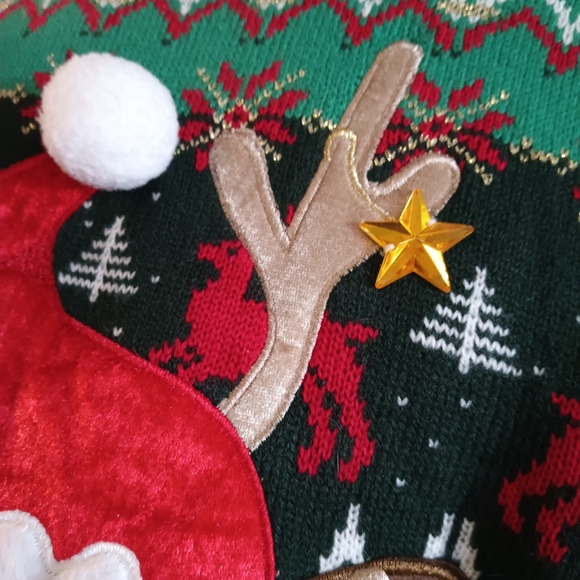 𝑪𝒆𝒍𝒆𝒃𝒓𝒂𝒕𝒆 𝑻𝒐𝒈𝒆𝒕𝒉𝒆𝒓 𝑭𝒆𝒔𝒕𝒊𝒗𝒆 𝑹𝒆𝒊𝒏𝒅𝒆𝒆𝒓 𝑺𝒘𝒆𝒂𝒕𝒆 - Picture 6 of 12